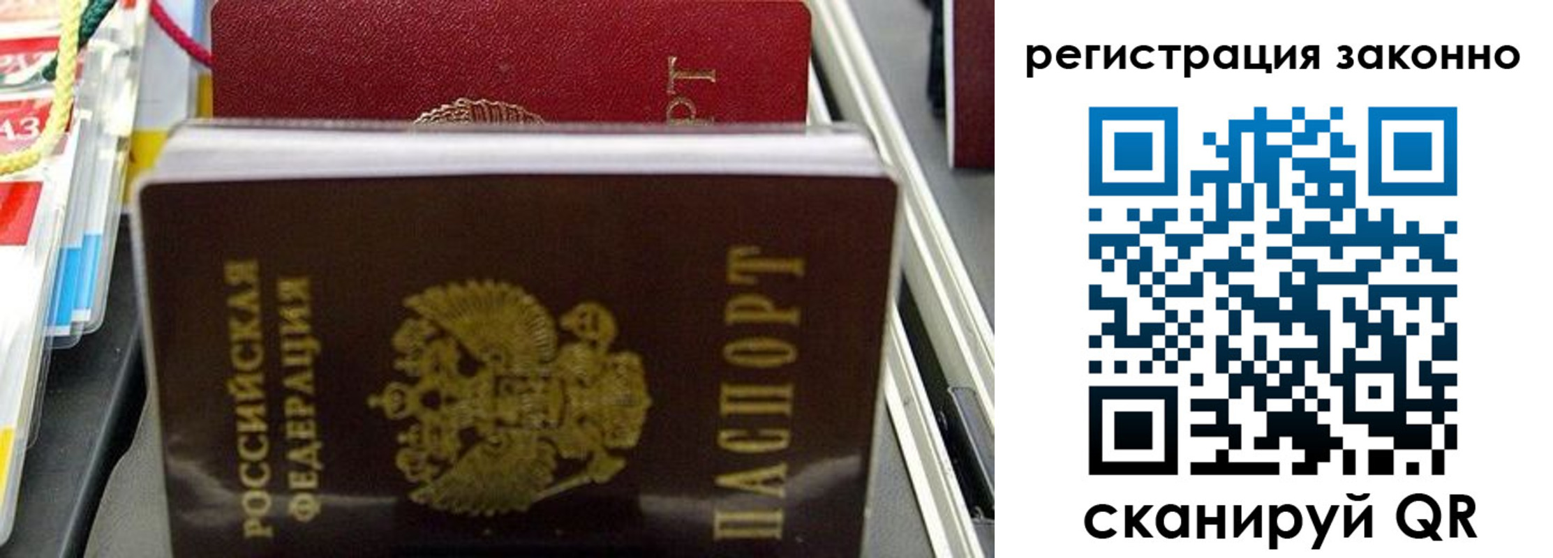 временная регистрация в Оленегорске